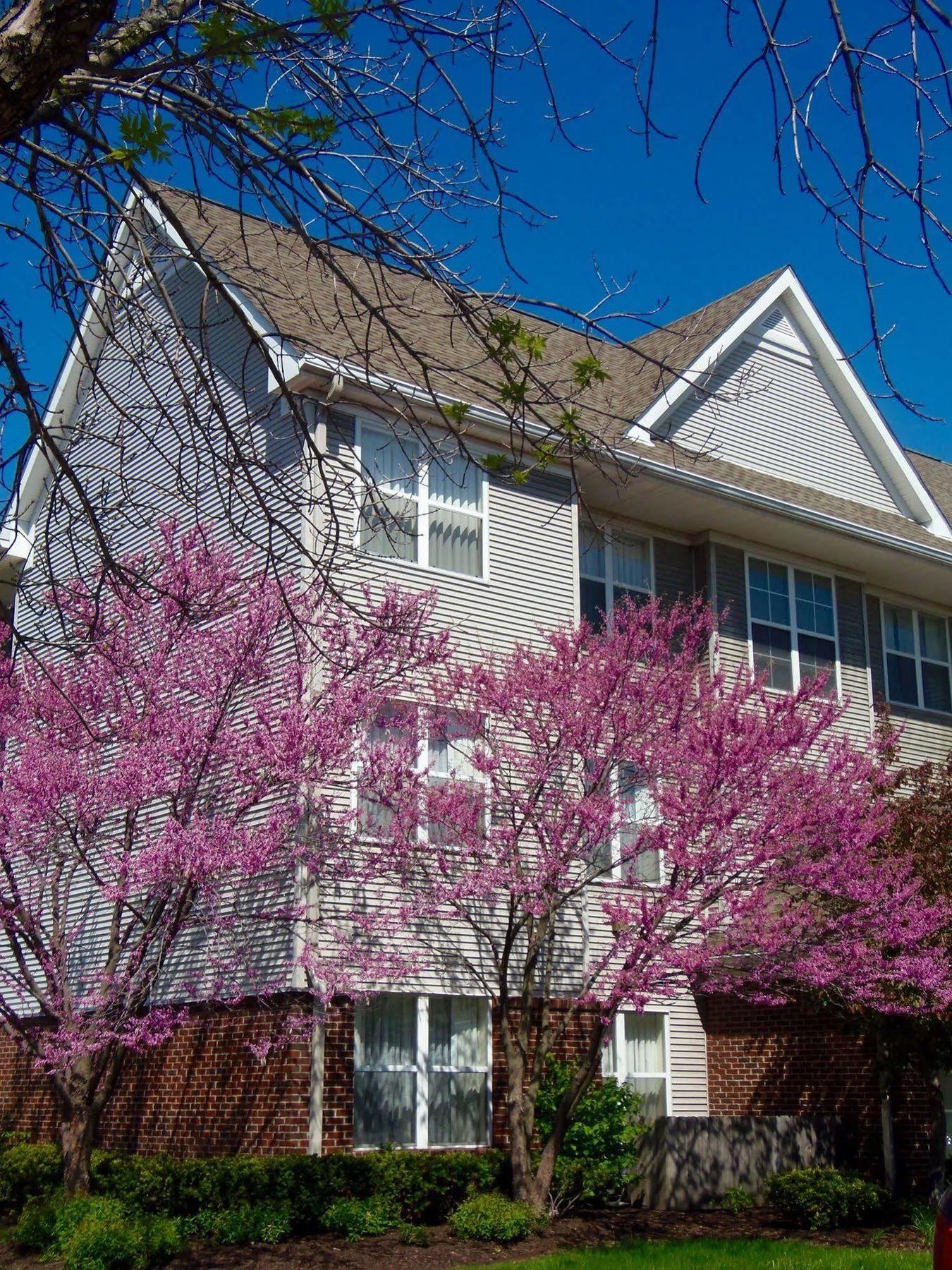 Residence Inn Indianapolis Airport Exterior photo